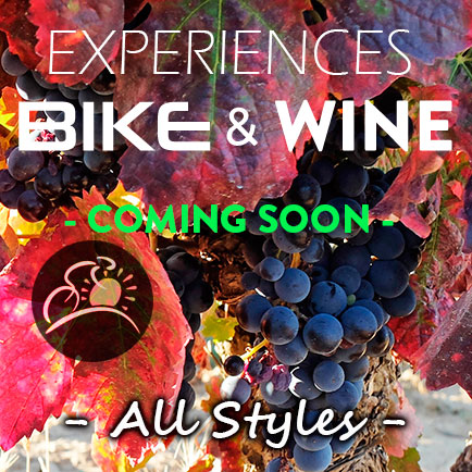 Experiences BIKE & WINE